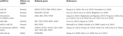 Focus on the tumor microenvironment: A seedbed for neuroendocrine prostate cancer